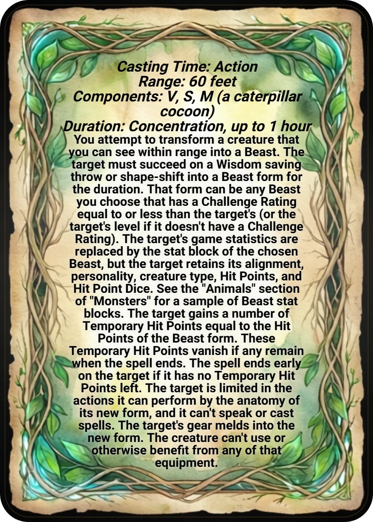 Polymorph back