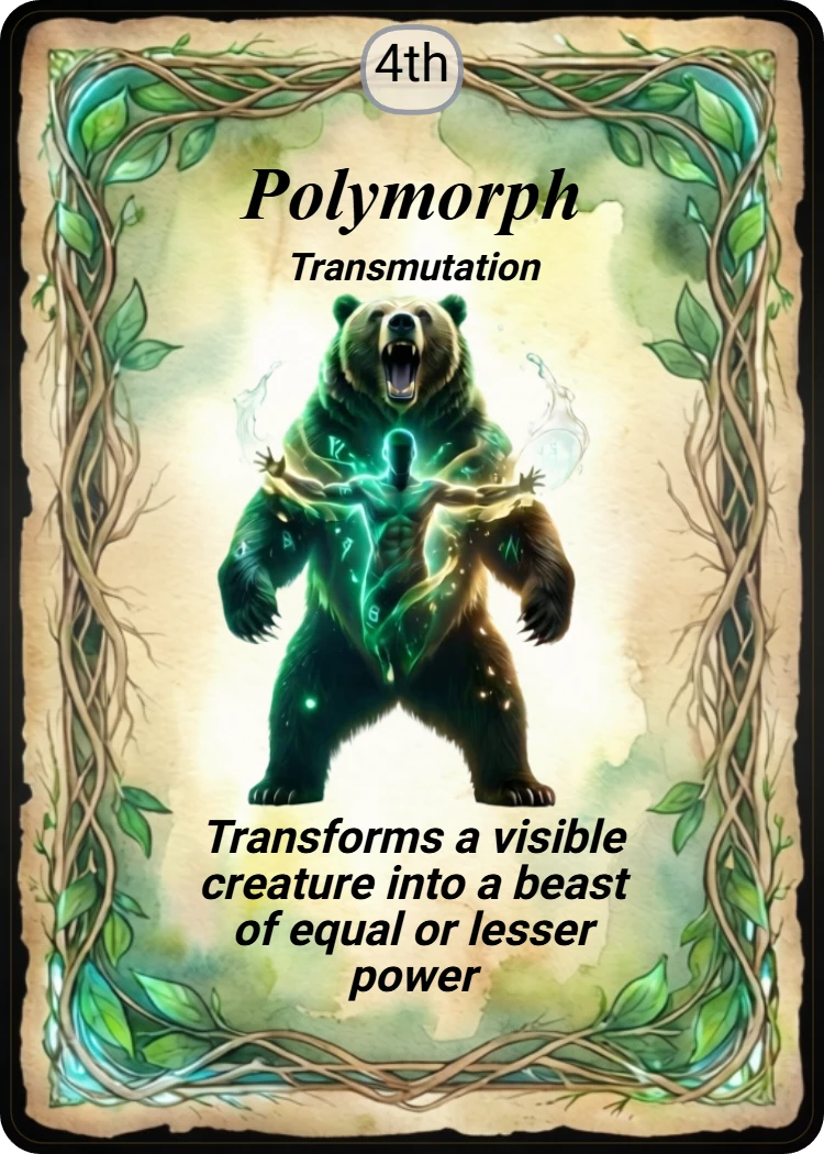 Polymorph front